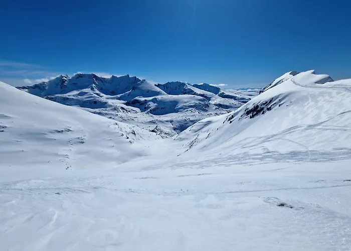 In With Wifi Ferienhaus