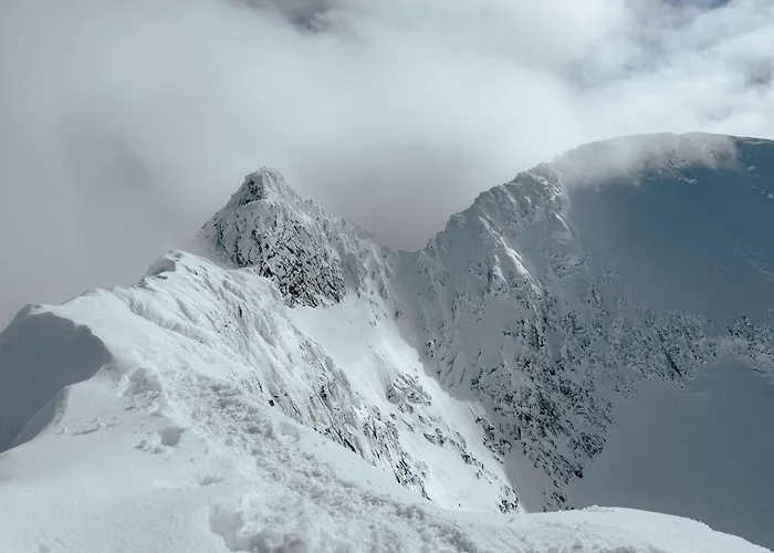 In With Wifi Ferienhaus *