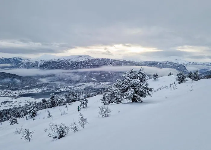 In With Wifi Ferienhaus Hafslo